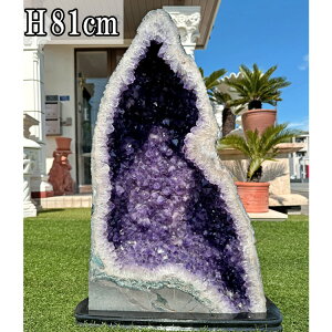 VR   AWXg h[  傫 p[Xg[ 59.5kg 81cm  t NX^[ z    WI[h AVXg NX^ VR u  p[v 