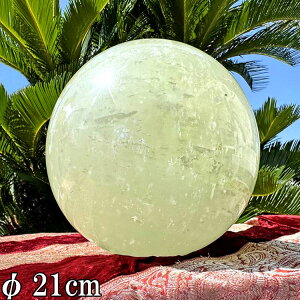  VR 傫 ۋ O[ JTCg   13kg a21cm   XtBA ^ 傫 VR  p[Xg[ u {[ CeA  R z   