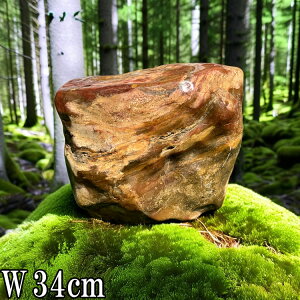 HΌܐF  i ӏܐ V   p[Xg[  傫  ^   VR a a 뉀 Β {뉀 u  IuWF    GgX Â 