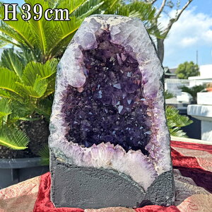 VR AWXg  h[  傫 NX^[ 39cm 24kg  p[Xg[ AVXg NX^ NH[c VR u  p[v CeA  R z 