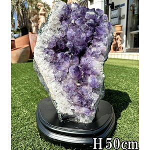 VR AWXg  h[  傫 p[Xg[ 50cm 33.3kg  t NX^[ AVXg NX^  VR u  p[v CeA  R