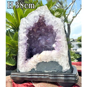 VR AWXg  h[  傫 NX^[ 33.5cm 25.5kg  p[Xg[ AVXg NX^ NH[c VR u IuWF  p[v CeA 