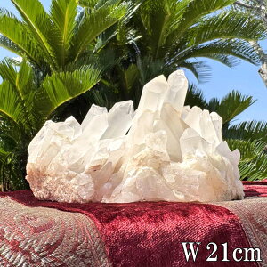 VR  NX^[ 3.63kg 21cm  傫 p[Xg[ NX^ NH[c |Cg VR u CeA  R z ^       J^ 