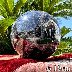    I ۋ   a19cm 9.8kg  傫 VR XtBA p[Xg[ u  ubN NX^ NH[c CeA  R z ^  