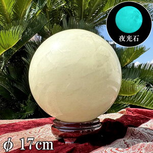 ~iXXg[ ۋ 傫  a17cm 7.2kg  XtBA ^ 傫 ~  p[Xg[ u {[ CeA  z        J^ 