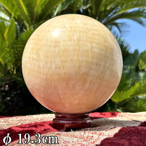 ASiCg ۋ    XtBA 10.3kg a19.3cm  ^ 傫 VR p[Xg[ u {[ CeA  R z     ΐl^ ^ 