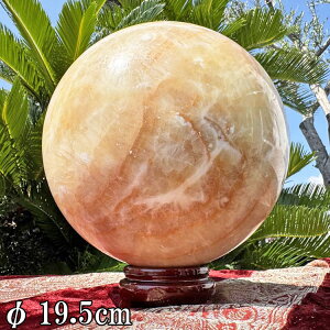 ASiCg ۋ    XtBA 10.9kg a19.5cm  ^ 傫 VR p[Xg[ u {[ CeA  R z     ΐl^ ^ 