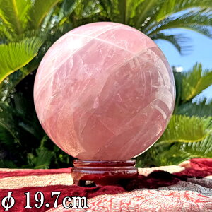 [YNH[c g  ۋ  a19.7cm 10.4kg  傫 p[Xg[ NX^ NH[c VR XtBA  u CeA  R z ^    