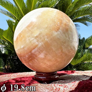 ASiCg ۋ    XtBA 11.1kg a19.8cm  ^ 傫 VR  p[Xg[ u CeA  R z     ΐl^ ^ ^