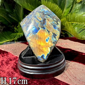 uhCg 傫   2.5kg 18cm t  D ^ VR  tXg[ p[Xg[ I[ C{[ F u CeA  R z