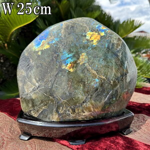 uhCg 傫   23cm 7.2kg t  p[Xg[ D ^ VR  tXg[ I[ C{[ F u CeA  R z