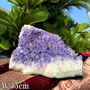 VR AWXg   傫 NX^[ 9.2kg 35cm  p[Xg[  WI[h  z    NX^ NH[c VR u Xs`A  p[v