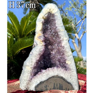 VR AWXg  h[  傫 NX^[ 9.6kg 37cm  p[Xg[ AVXg NX^ NH[c VR u  p[v CeA  R z 