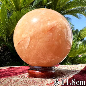 ASiCg ۋ    XtBA 2.4kg a11.8cm  ^ 傫 VR p[Xg[ u {[ CeA  R z     ΐl^ ^ 