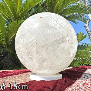 VR 傫 ۋ  7.9kg a18cm  傫 p[Xg[ NX^ NH[c  VR XtBA  u CeA  R z ^     