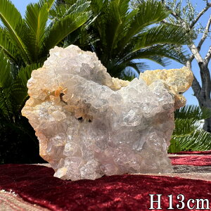 VR  NX^[ 820g 13cm  p[Xg[ NX^ NH[c bN VR u CeA  R z ^ 傫     J^   