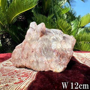 VRԐ bhNH[c  NX^[ 1.05kg 12cm   p[Xg[ bNNX^ S VR u CeA  R z ^ 傫    