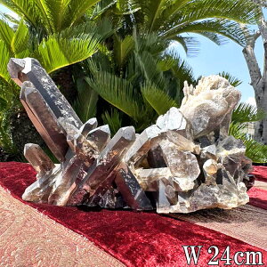  I   NX^[ 2.4kg 24cm  傫 p[Xg[  ubN NX^ NH[c |Cg VR u CeA  R z ^   