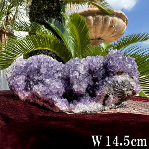 VR AWXg  NX^[  700g 14.5cm p[Xg[ AVXg NX^ NH[c VR u  p[v CeA  R z    J^  