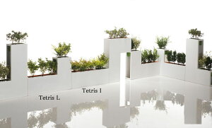 C^A fUCv^[ egXI Tetris A~ CeA fUCi[Yv^[ BYSTEEL K[ft@j`[   Aؔ Jo[  ^ oCX`[ F036ALL ma