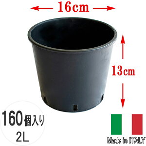  i[Z[|bg16 160Zbg 5 2L 16cm Ȃ C^A v^[ t[|bg  ^   ubN Aؔ Vv vX`bN v K[fjO  