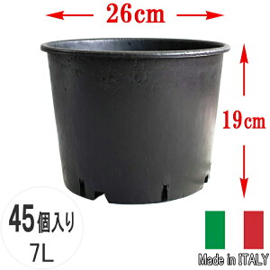  i[Z[|bg26 45Zbg 8-9 7L 26cm Ȃ C^A v^[ t[|bg  ^ ^  ubN Aؔ Vv vX`bN v K[fjO  