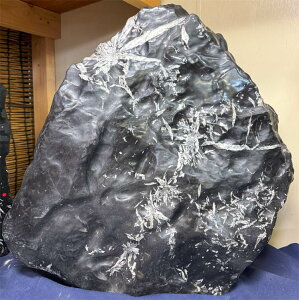 eԐ y43z56cm 56cm VR u ӏܐ ~ i   p[Xg[  Ř|pI R 