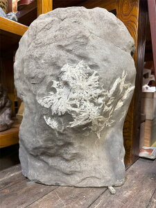 �e�Ԑ� �y47�z������58cm ����36cm �i�� �V�R�� �u�� ����� �ӏܐ� ���� �p���[�X�g�[�� �~�� �� ���� ���R�̌|�p�I ���R��