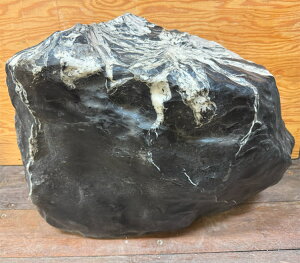 eԐ y48z38cm 57cm  ӏܐ  i VR u  p[Xg[ ~  Ř|pI R