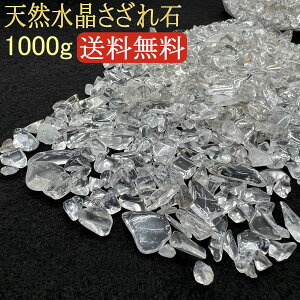 VR I 1,000g uWY 򉻗p  1kg p[Xg[ VR yNAzCg^Cvz Ղ肨1kg   `bv r[Y J^ ׋C  