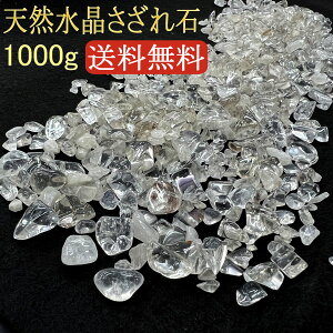 VR I 1,000g uWY 򉻗p  p[Xg[ VR yX^_[h^CvzՂ肨1kg   |Cg `bv TU  J^ 