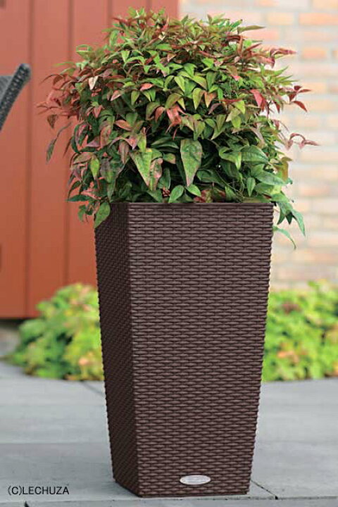 楽天市場 コテージ 30 幅30cm 高さ56cm ドイツ製デザインプランター 底面灌水セット付 Cottage Le 6030 レチューザ Lechuza Made In Germany 観葉植物 プラスチック フラワーポット 鉢カバー スクエア 植木鉢 鉢植え 屋外 おしゃれ マスキ