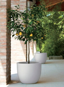 GgA 54 C^AfUCv^[ [EX[vXg ER-2320 a54cm 44cm  Euro 3 Plast Khilia Etria  MADE IN ITALY vX`bN t[|bg Jo[ ۂAؔ 