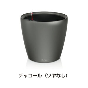 NVREW[J[35 `R[ hCcfUCv^[ a35cm 33cm ʟ󐅃Zbgt Classico Joker y Aؔ `[U LE-1035AJ Lechuza MADE IN GERMANY ϗtA vX`bN y