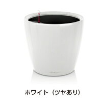 楽天市場】クラシコ ジョーカー 35の通販