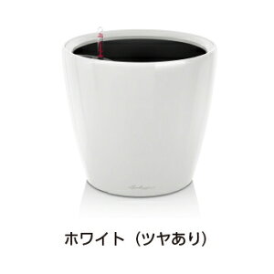 NVREW[J[35 zCg hCcfUCv^[ ia35cm 33cmj ʟ󐅃Zbgt Classico Joker y Aؔ `[U LE-1035AJ Lechuza MADE IN GERMANY ϗtA vX`bN y