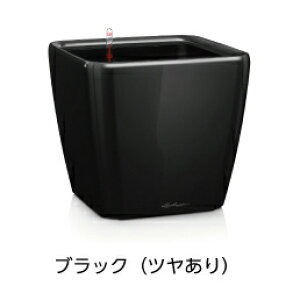 NAh W[J[ 50 ubN hCcfUCv^[ i50cm 47cmj ʟ󐅃Zbgt QUADRO JOKER LE-2050AJ  `[U Lechuza Premium MADE IN GERMANY ϗtA vX`bN t