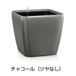 NAh W[J[ 43 `R[ hCcfUCv^[ W43cm H40cm ʟ󐅃Zbgt QUADRO JOKER LE-2043AJ `[U Lechuza Premium MADE IN GERMANY   ^̔ ϗtA vX