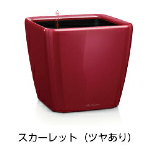 NAh W[J[ 43 XJ[bg hCcfUCv^[ W43×H40cm ʟ󐅃Zbgt QUADRO JOKER LE-2043AJ `[U Lechuza Premium MADE IN GERMANY   ^̔ ϗtA vX