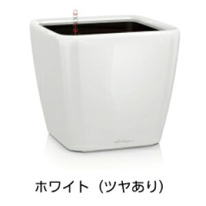NAh W[J[ 43 zCg hCcfUCv^[ W43cm H40cm ʟ󐅃Zbgt QUADRO JOKER LE-2043AJ `[U Lechuza Premium MADE IN GERMANY   ^̔ ϗtA vX`