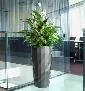 fBA}e 40 `R[ hCcfUCv^[ ia40cm 75cmj ʟ󐅃Zbgt Diamante y Aؔ `[U   LE-3240 Lechuza MADE IN GERMANY ϗtA vX`bN