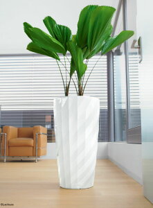 fBA}e 40 zCg hCcfUCv^[ ia40cm 75cmj ʟ󐅃Zbgt Diamante y Aؔ `[U   LE-3240 Lechuza MADE IN GERMANY ϗtA vX`bN 