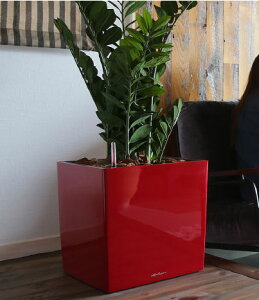 hCcfUCv^[ L[u v~A 40 XJ[bg i40cm 40cmj ʟ󐅃Zbgt  Cube Premium `[U Lechuza LE-3440 MADE IN GERMANY ϗtA vX`bN y 