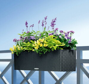 hCcfUCv^[ Re[WEoRl80 `R[ i80cm 19cmj ʟ󐅃Zbgt LE-6580 Cottage Balconera y Aؔ `[U Lechuza MADE IN GERMANY ϗtA vX`bN