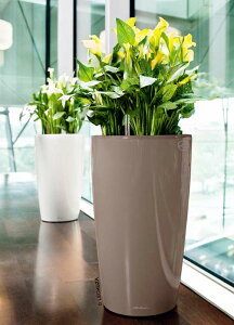 hCcfUCv^[ h 40 O[x[W ia40cm 75cmj ʟ󐅃Zbgt  Rondo LE-3140 `[U v~A y vX`bN Lechuza Premium MADE IN GERMANY ۂ 