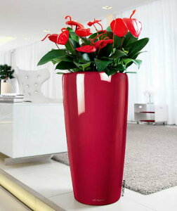 hCcfUCv^[ h 40 XJ[bg ia40cm 75cmj ʟ󐅃Zbgt  Rondo LE-3140 `[U v~A y vX`bN Lechuza Premium MADE IN GERMANY ۂ  