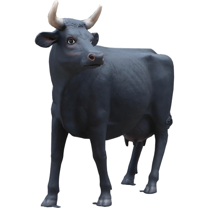 楽天市場】原寸大の黒毛牛 Cow Life Size 強化プラスチック（FRP 
