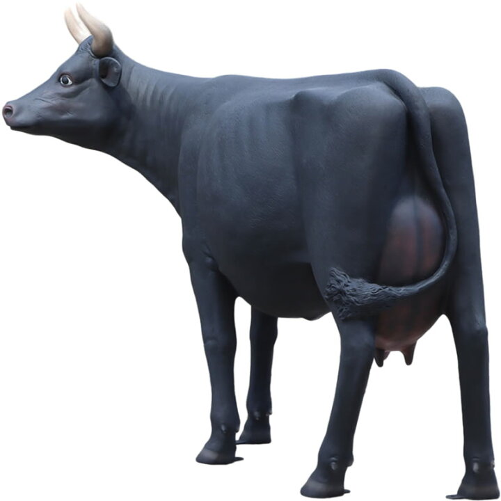 楽天市場】原寸大の黒毛牛 Cow Life Size 強化プラスチック（FRP 