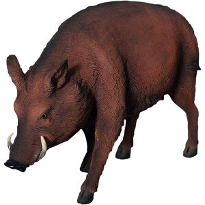 ̂  Wild Boar vX`bNiFRPj A[gIuWF u Aj}  y tBMA CmVV   y K[f I[ig CeA fBXvC g X 