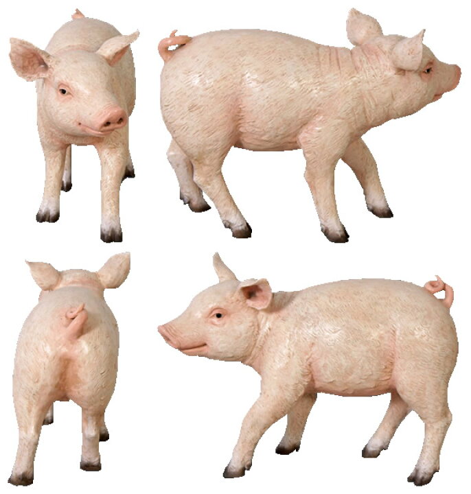 楽天市場】まるまるした子豚 Chubby Piglet 強化プラスチック（FRP 